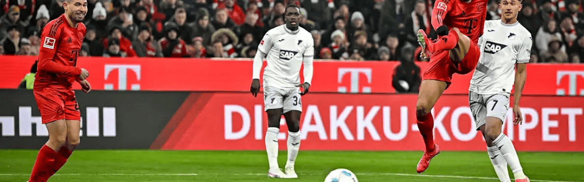 拜仁VS霍芬海姆 赛事分析